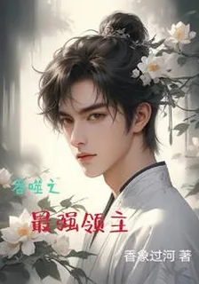 吞噬之最強領主 封面