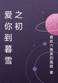 愛你到暮雪之初 封面