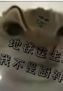 地鐵逃生：我不是廚神 封面