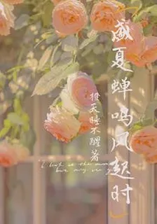 盛夏蟬鳴風起時 封面