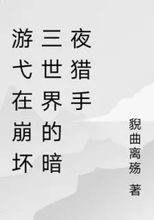 遊弋在崩壞三世界的暗夜獵手 封面