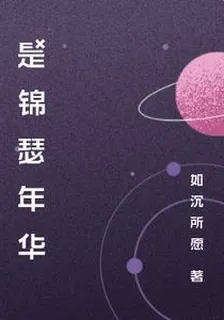 是錦瑟年華 封面