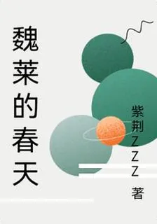 紫荊ZZZ的第1本書 封面