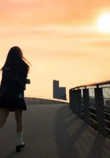 追光的一條魚 封面