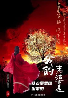 古墓裏面，挖老婆 封面