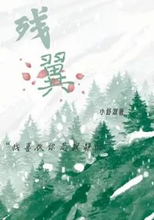 殘翼 封面