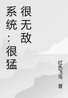 系統：很猛很無敵 封面
