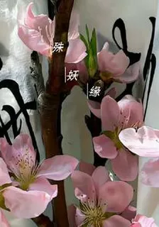 殊妖緣 封面