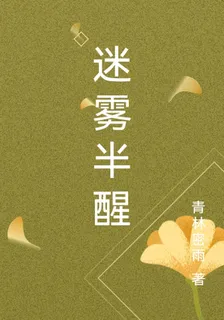 迷霧半醒 封面