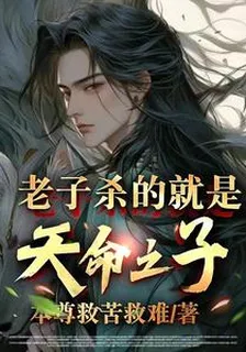 老子殺的就是天命之子！ 封面