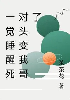 一覺睡醒死對頭變我哥了 封面