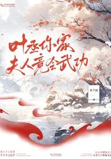 葉丞！你家夫人竟會武功？ 封面