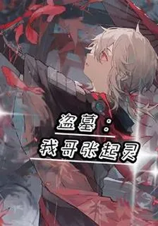 盜墓：我哥張起靈 封面