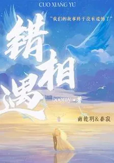 錯相遇 封面