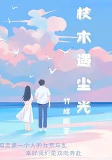 枝木遇塵光 封面
