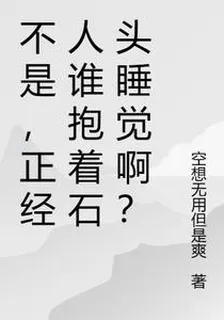 不是，正經人誰抱着石頭睡覺啊？ 封面