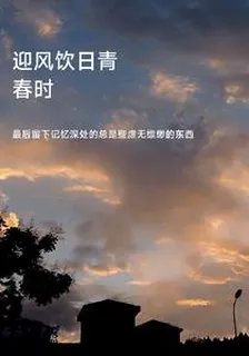 迎風飲日青春時 封面