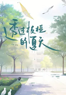 透過枝椏的夏天 封面