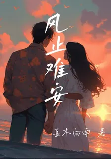 風止難安 封面
