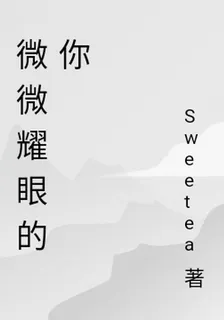 微微耀眼的你 封面