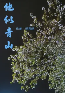 他似青山 封面