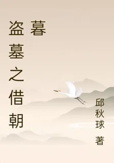 盜墓之借朝暮 封面