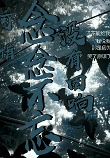 可惜念念不忘沒有迴響 封面