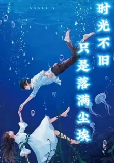 時光不舊，只是落滿塵埃 封面