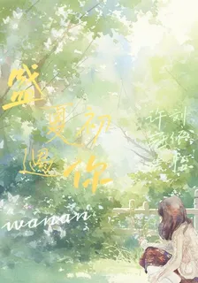 盛夏初遇你 封面