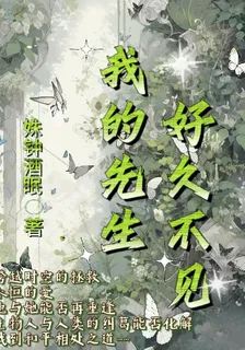 我的先生，好久不見 封面