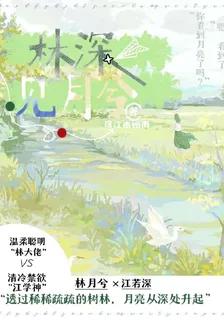 林深見月兮 封面