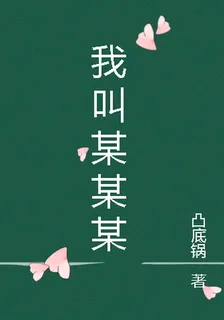 我叫某某某 封面