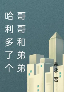 哈利多了個哥哥和弟弟 封面