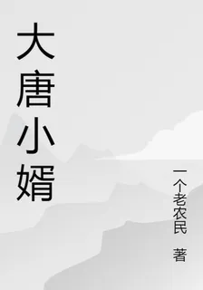 大唐小婿 封面