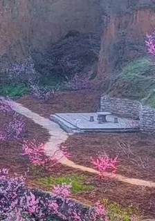 臨仲村的故事 封面