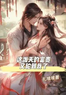 這潑天的富貴，又輪到我了 封面