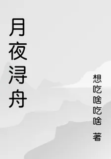 月夜潯舟 封面