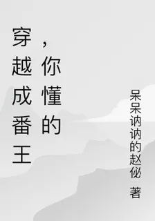 穿越成番王，你懂的 封面
