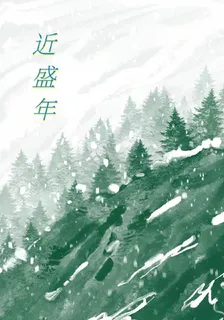 近盛年 封面