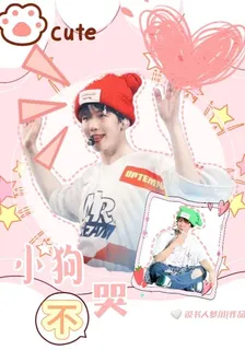 【邊伯賢】小狗不哭 封面