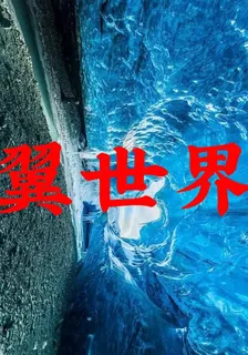 翼世界 封面