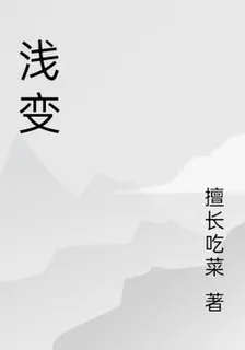 淺變 封面