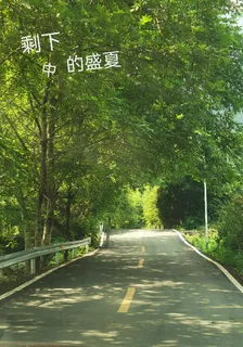 剩下中的盛夏 封面