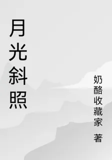 月光斜照 封面