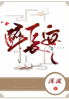 醉長安 封面