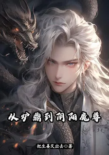 從爐鼎到陰陽魔尊 封面