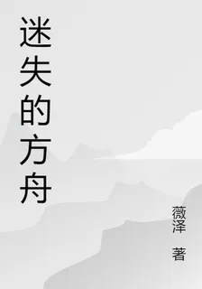 迷失的方舟 封面