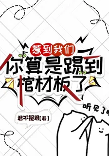 惹到我們，你算是踢到棺材板了 封面