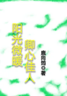 陽光微暖，卿本佳人 封面