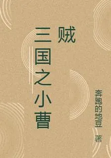 三國之小曹賊 封面